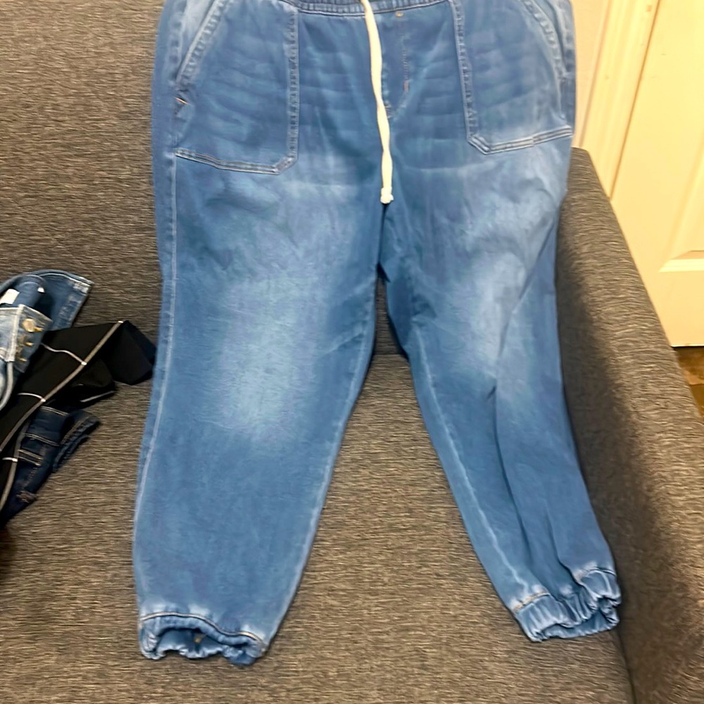 Lane Bryant joggers size 16 like new